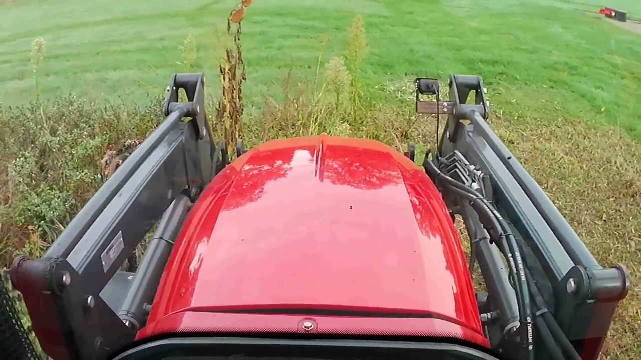 Mulchen im Dickicht mit Branson 5025C