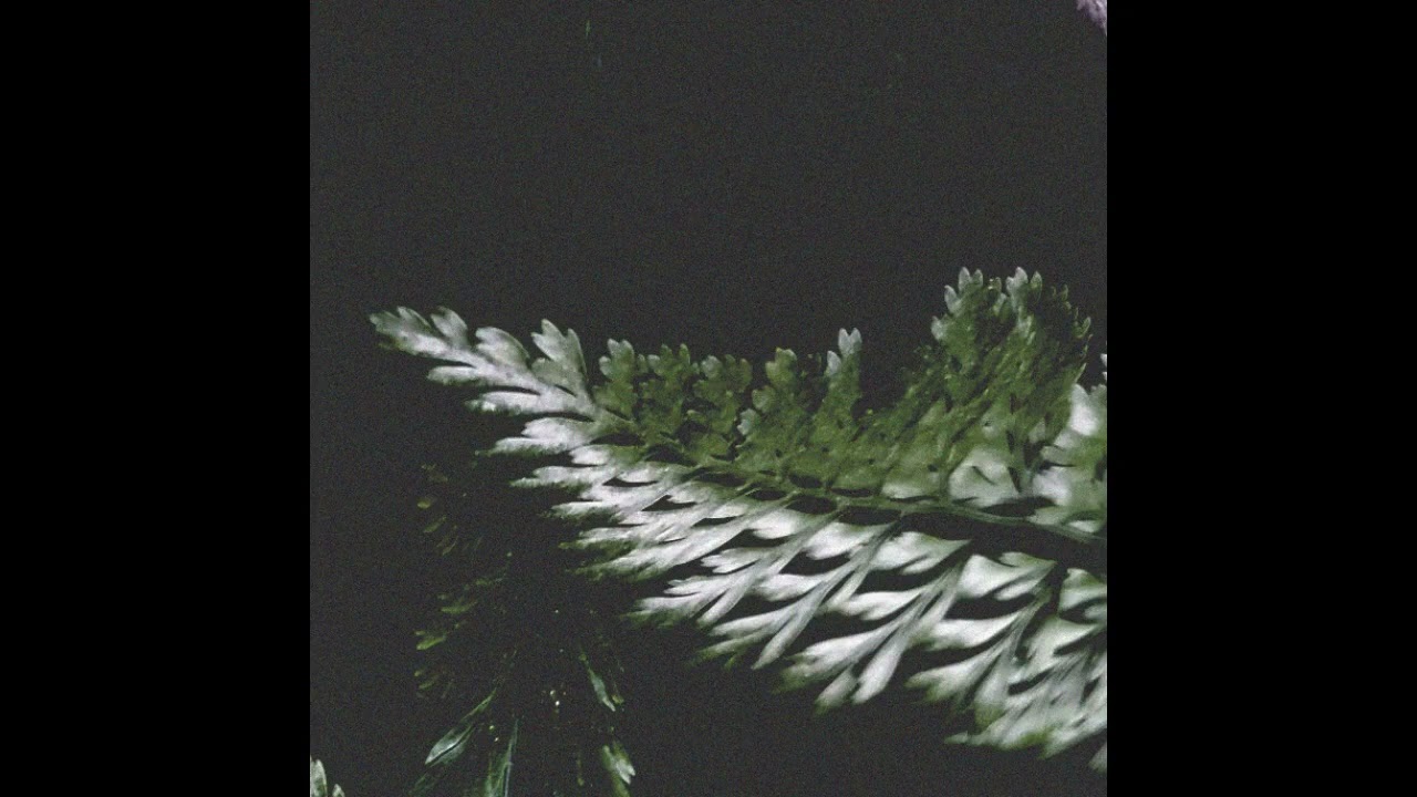 gentle fade