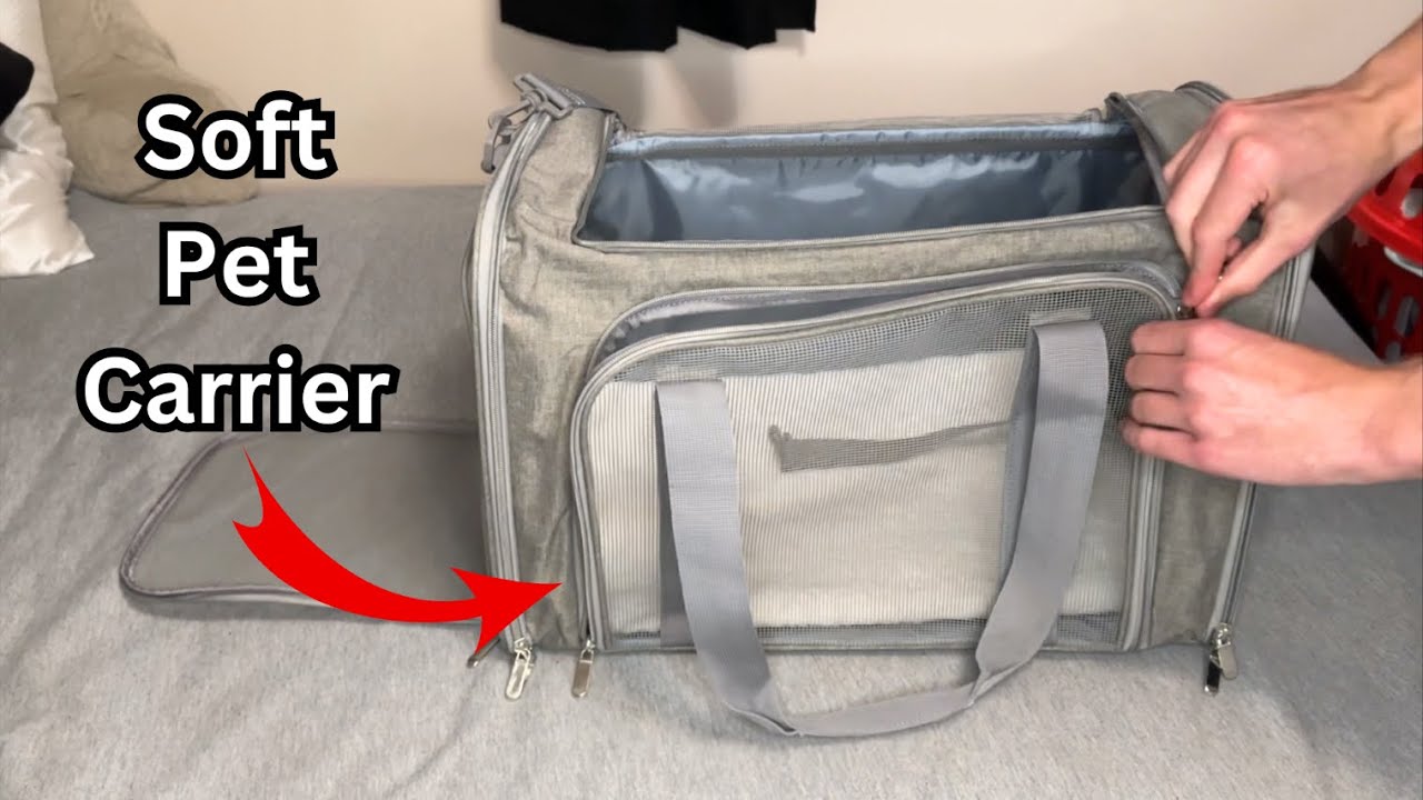 This soft pet carrier is a game-changer for vet trips!