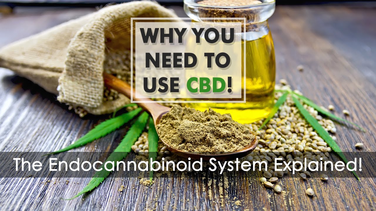 Why You Need to Use CBD - The Endocannabinoid System Explained