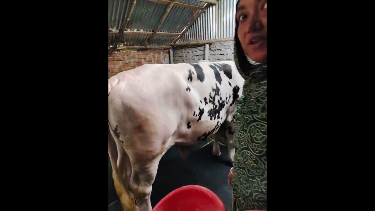 সামনে রমজান মাস তাই কাজ কর্ম সব ভাগ করে নিলাম 