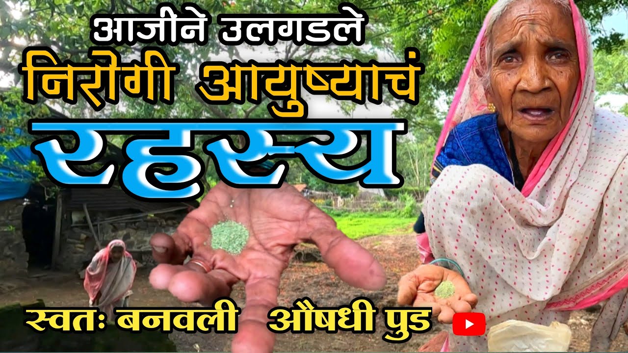 90 वर्षाच्या आजीने उलगडले निरोगी दिर्गायुष्याचं रहस्य | निसर्गात राहुन तयार केली औषधी पुड. YouTube