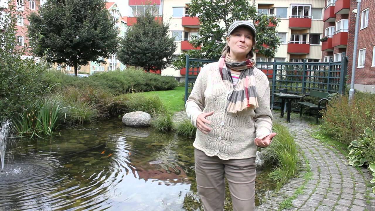 Malmo - green energy revolution