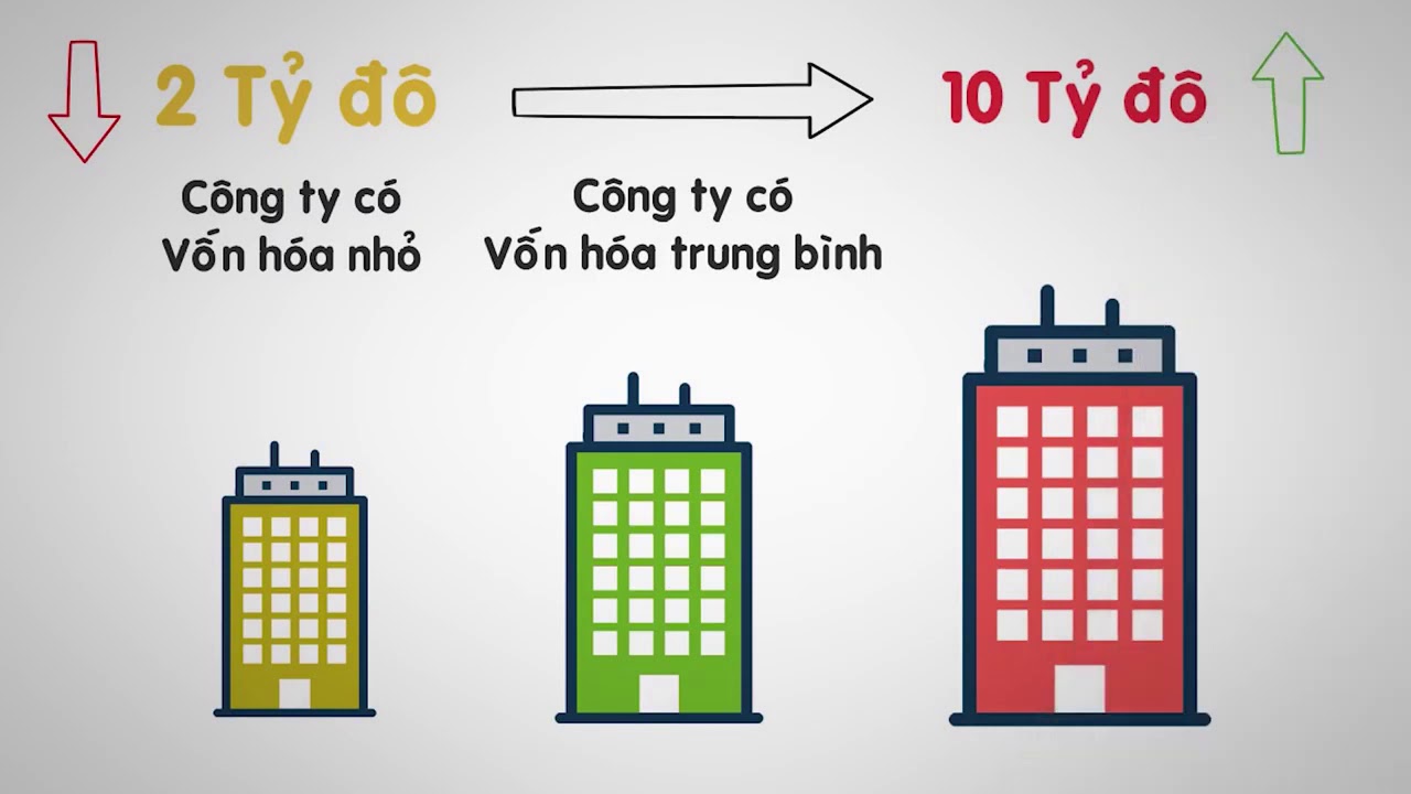 Vốn H&oacute;a Thị Trường L&agrave; G&igrave;  Cực Dễ Hiểu 2020   VNINVESTOR
