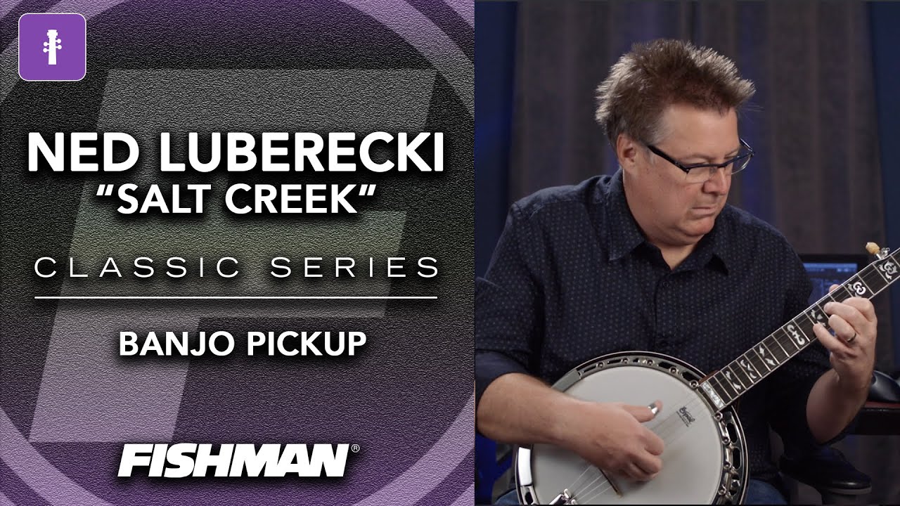 IBMA 2020 | Ned Luberecki | Salt Creek | Fishman Banjo Pickup