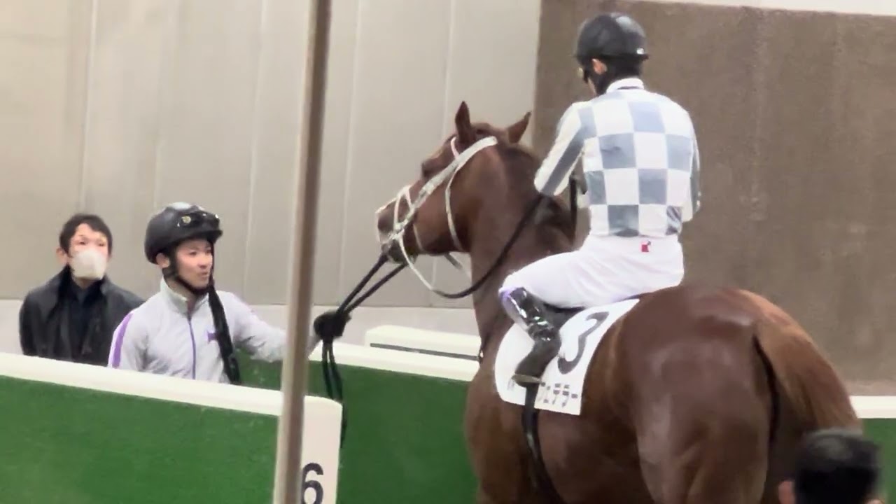 【武豊】がっかりフェデラー、鞍を外すレジェンド