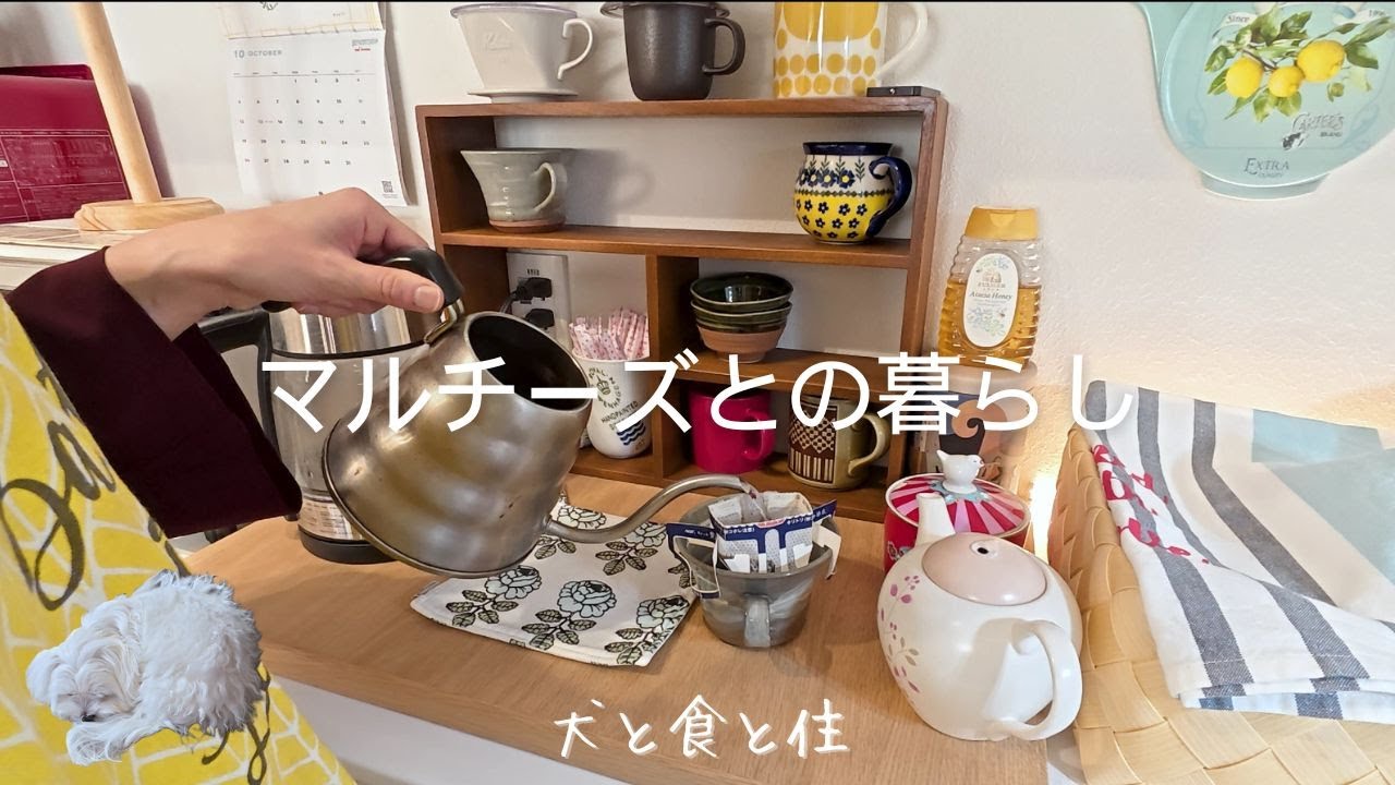 あったか冬じたく／主婦の平日お昼ご飯とお茶時間／やんちゃなマルチーズとの暮らし