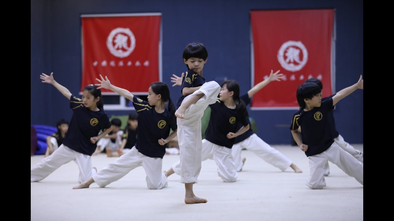 2017.8.10 中国龙队训练日记 龙拳小子不在家 1 Dragon Team Diary 1，Dragon Boys is Not at Home
