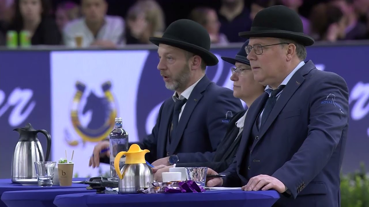 HK 2026 - Event 7 - Studbook Stallions approved from breeding season 2024 - German