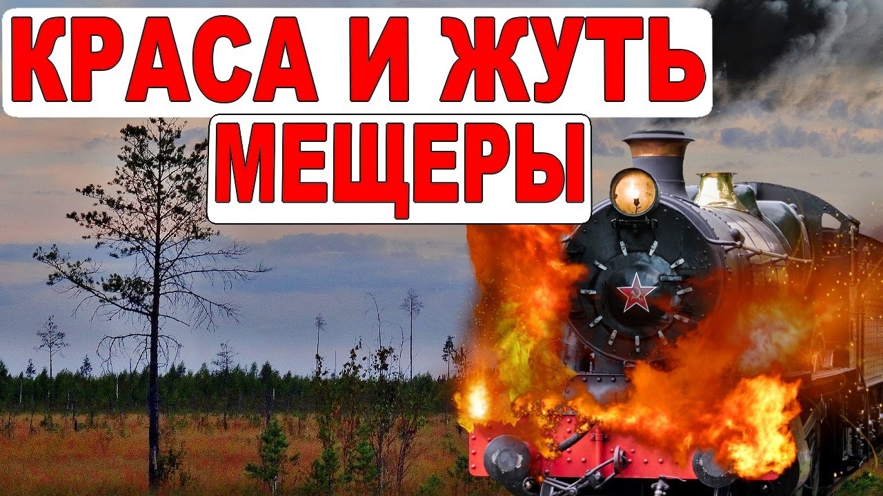 Сгоревшая заброшка. Тайны Мещеры. Пеший одиночный поход в лес. УЖД. Заброшенные деревни