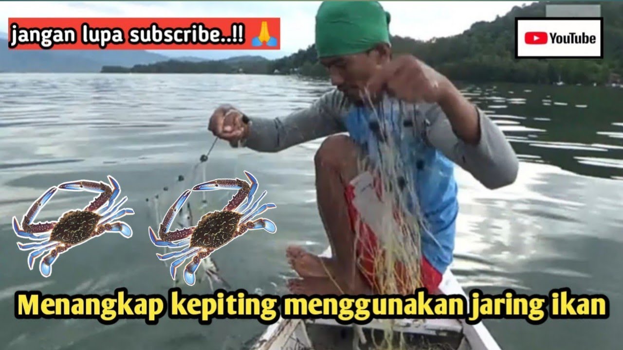 Menangkap kepiting hasilnya satu ember penuh #catching crabs