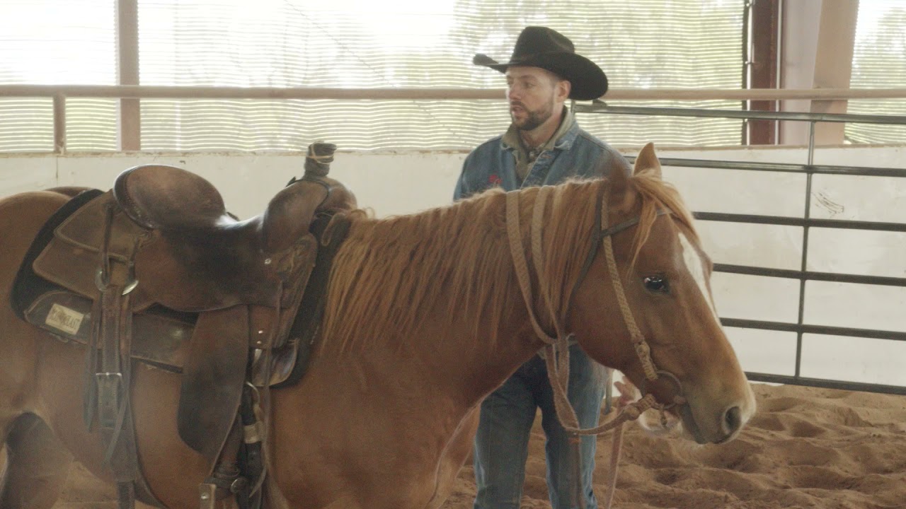 STARTING WAGGONER RANCH COLTS! - VLOG #1