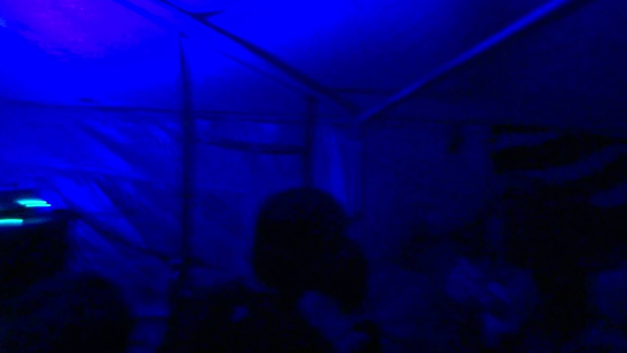 Disuko Free Party 14