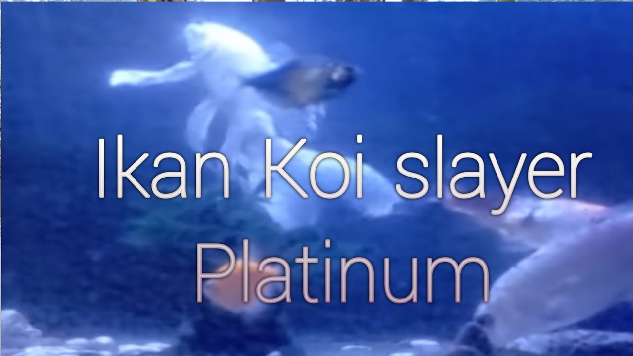 Dangdut Koplo tahun 2026 