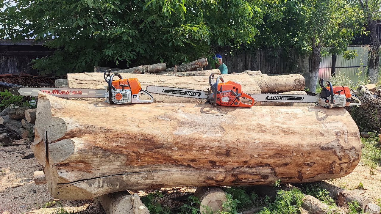 Cutting big wood with Stihl 064, MS 651 and Husqvarna 592xp !!!