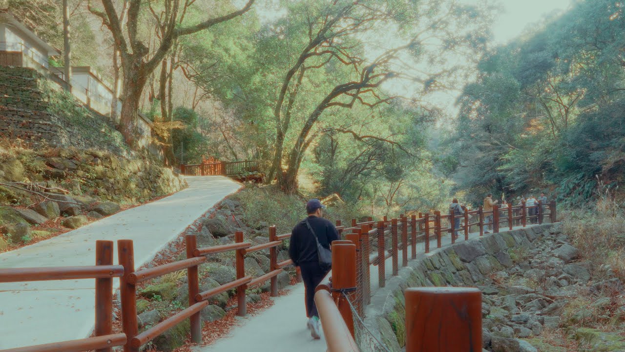 Postcards from Miyazaki, Japan | Sony A7cii