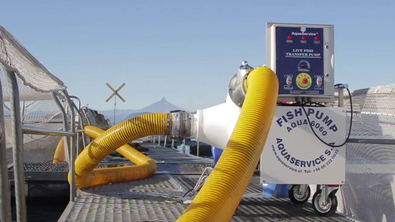 FISH PUMP 6060