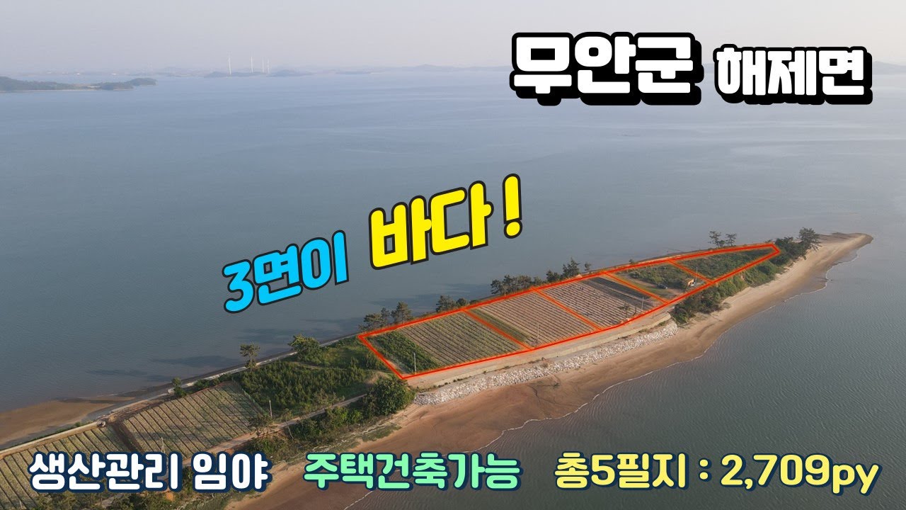 [목포토지사랑 314] 무안군 해제면 바다끝땅 / 3면이 바다에 접/ 건축가능 토지 2709py / 총5필지/ 매매가 3.3당 25만원 (2~3필지만 매매도 가능)
