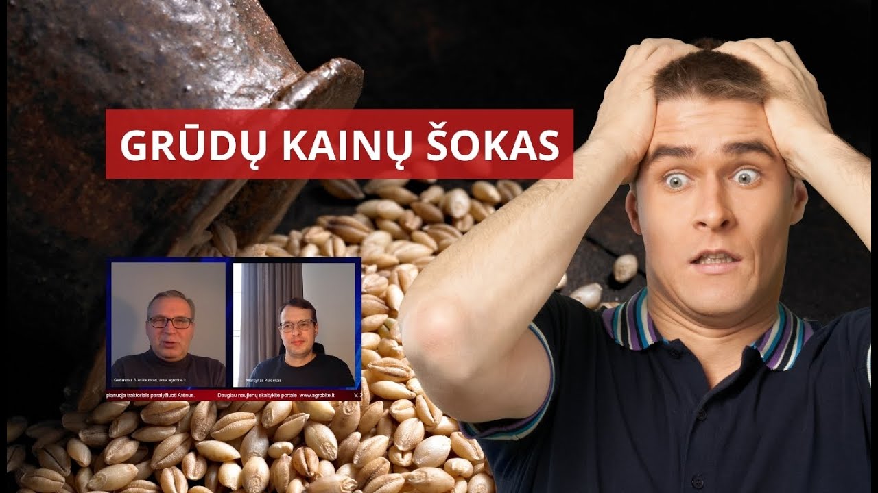 Grūdų kainų šokas. Kalbiname Martyną Puidoką
