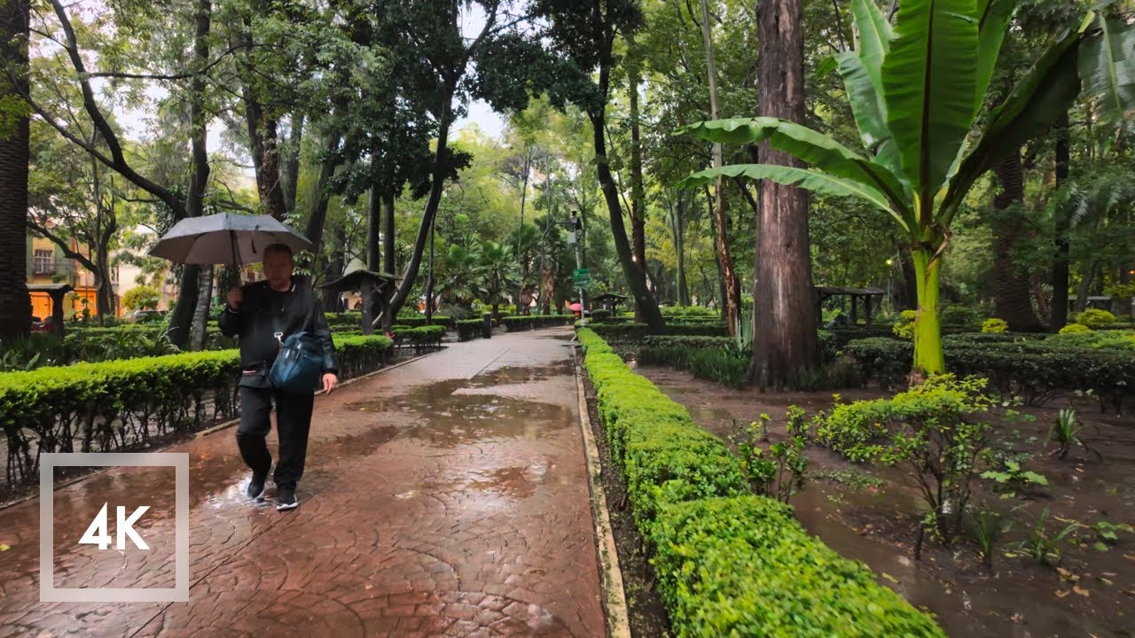 Walking in the Rain Mexico City, Rain Sounds