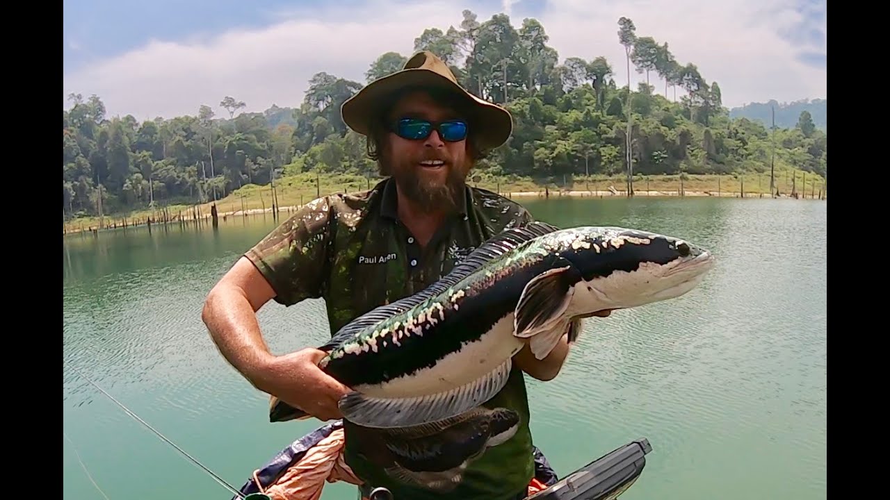 Flyfishing for Giant Snakehead