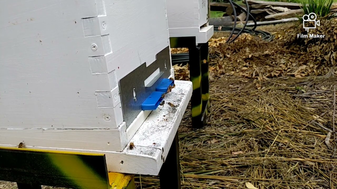 Hive gate inspection