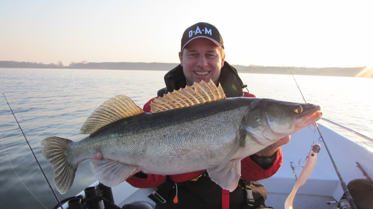 Pelagisch Vertikal Angeln mit dem EFFZETT GRUB von DAM
