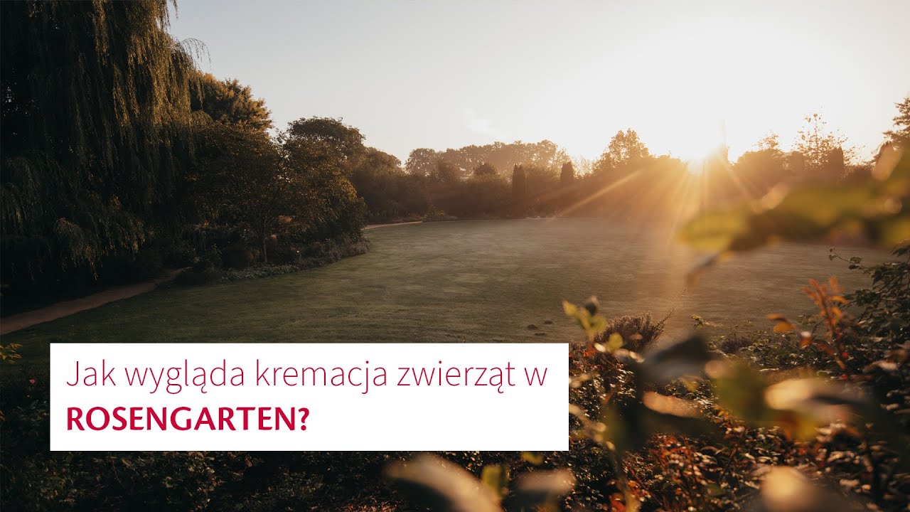 Jak wygląda kremacja zwierząt w ROSENGARTEN?