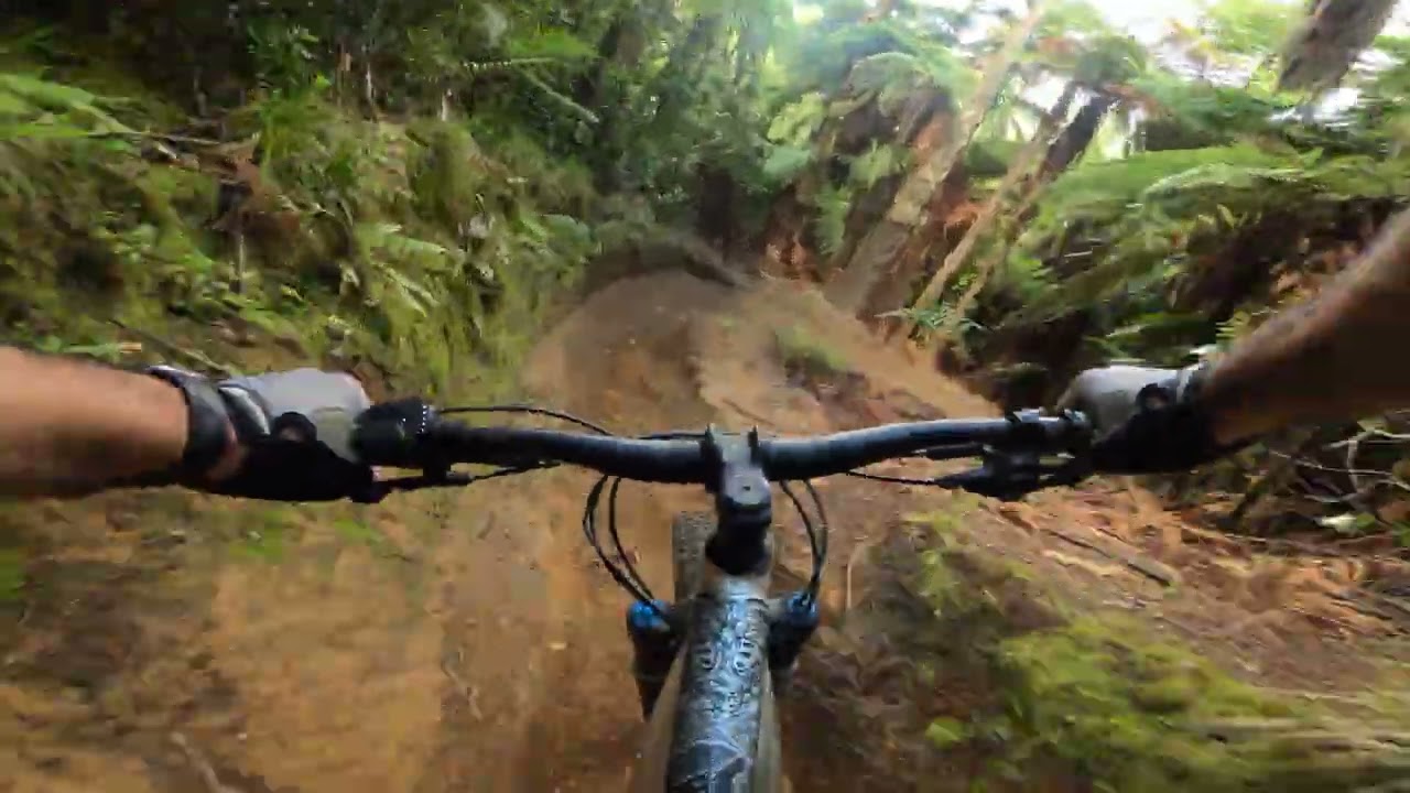 Gunna Gotta, Whakawerawera Forest - Rotorua.