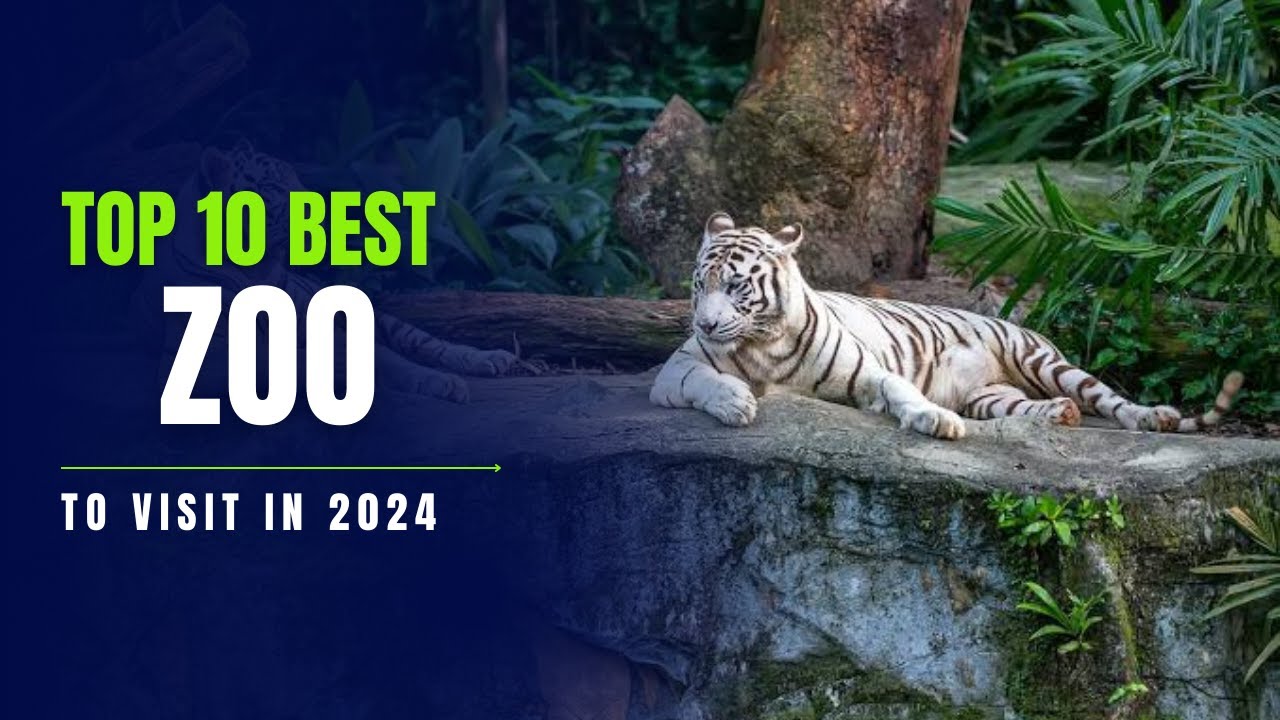 Top 10 best zoo in the world #travel #zoo
