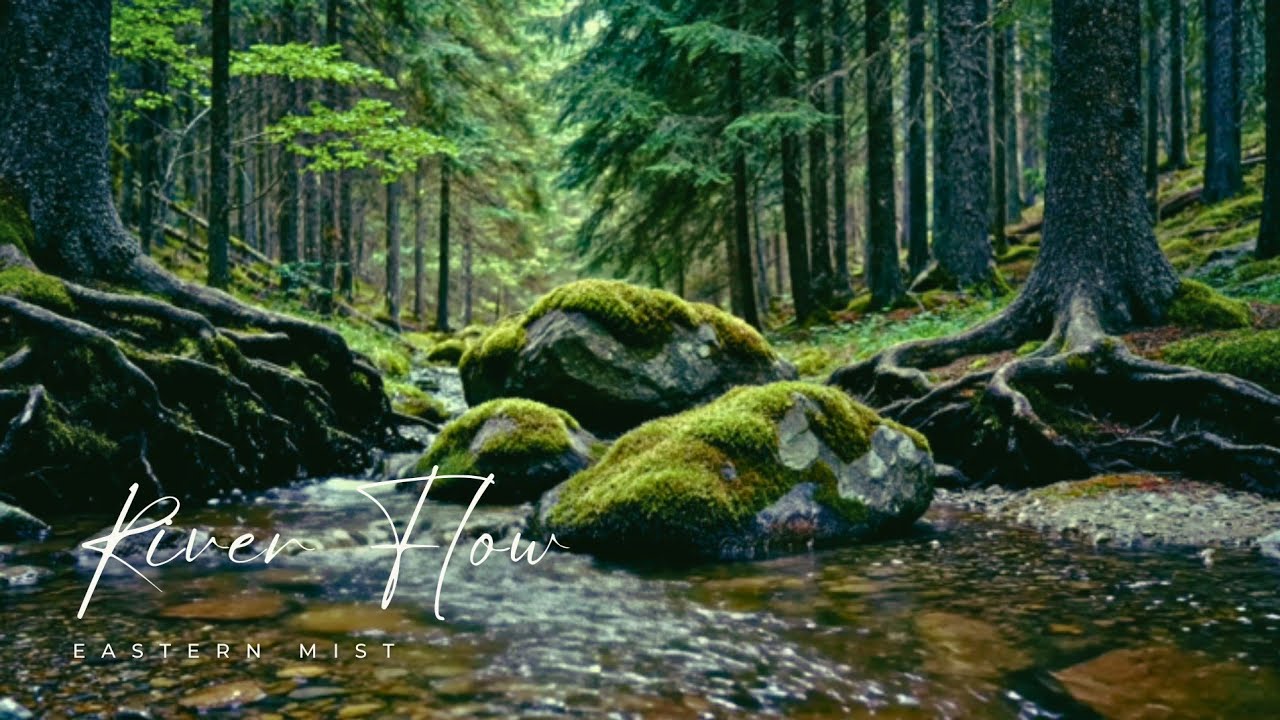 Calming River Sounds in the Forest | No Talking, No Music (2 Hours)