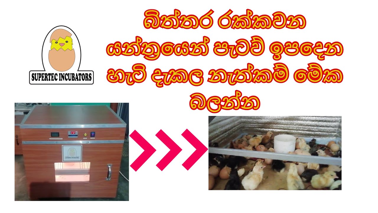 How to use Automatic incubator ( Supertec incubators (Pvt) Ltd )