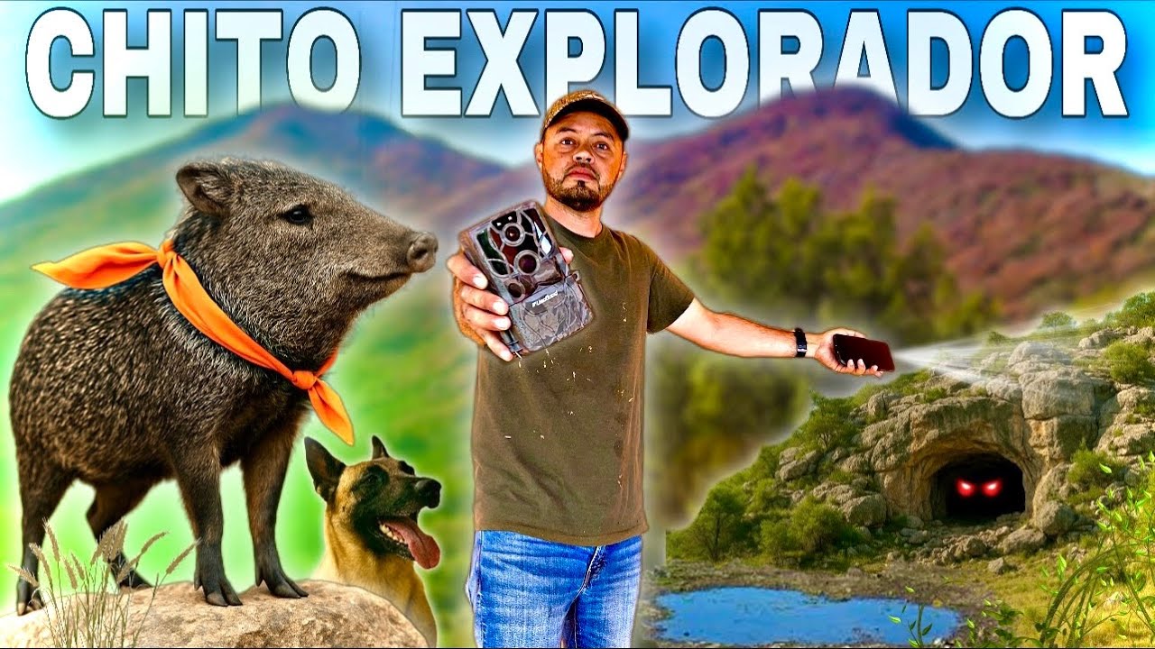 Llevamos al CHITO 🐗 a EXPLORAR EL CERRO para instalar CAMARAS TRAMPA 📸
