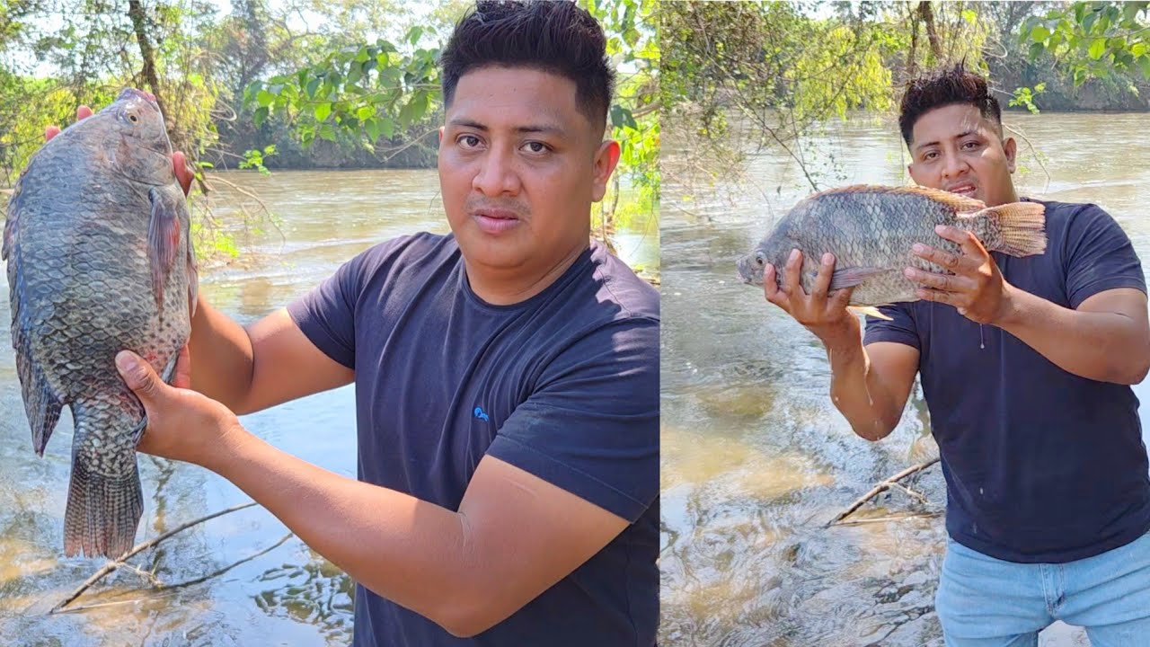 Mojarras Gigantes de Rio, Mira los peces que agarramos 