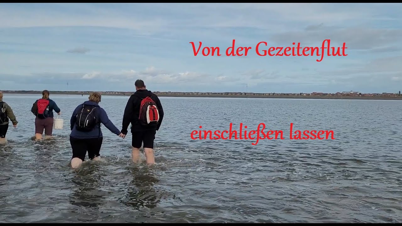 Juist - Watt-und Gezeitenwanderung auf der Nordseeinsel | Jan´s Entdeckertouren