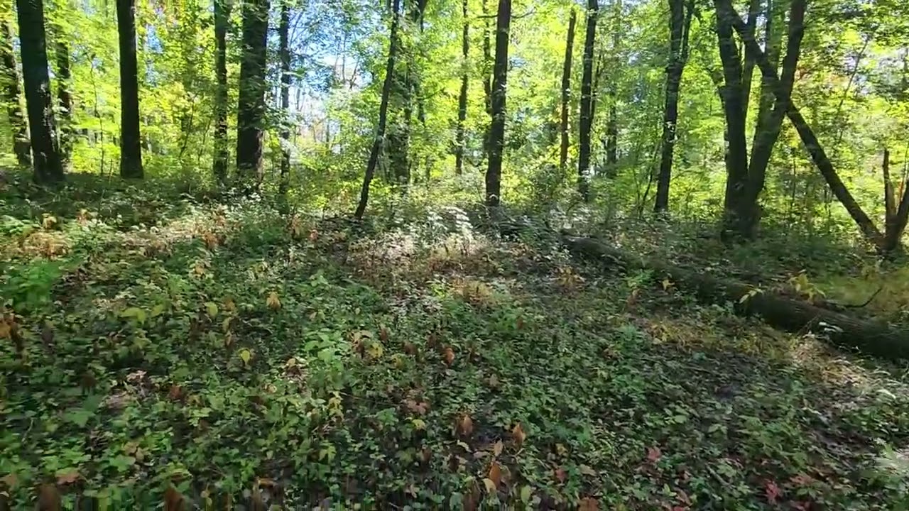 147 Rocktown Rd, Ringoes, NJ | 360° Property View