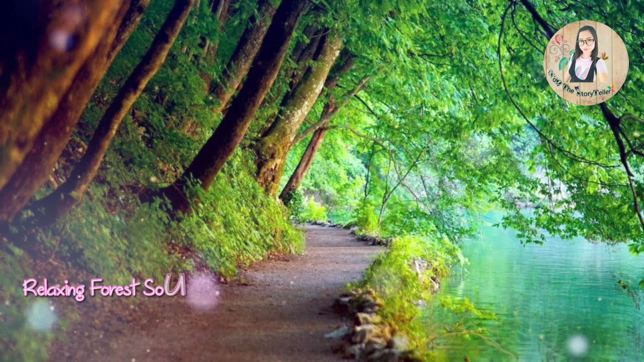Relaxing Forest Sound ft Florian Bur The Way Slow Motion Music version cover (Music)