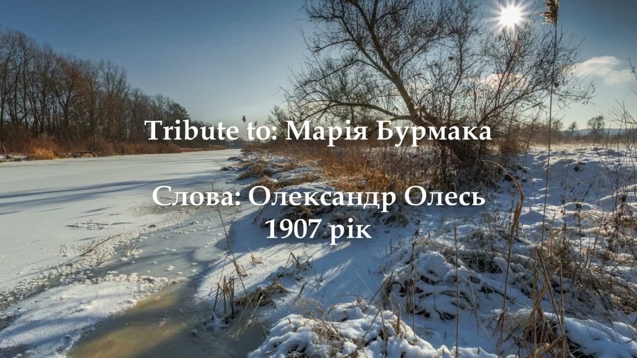 СНІГ В ГАЮ | Tribute to Марія Бурмака (Skjold Skefsson) | Слова: Олександр Олесь 1907 рік