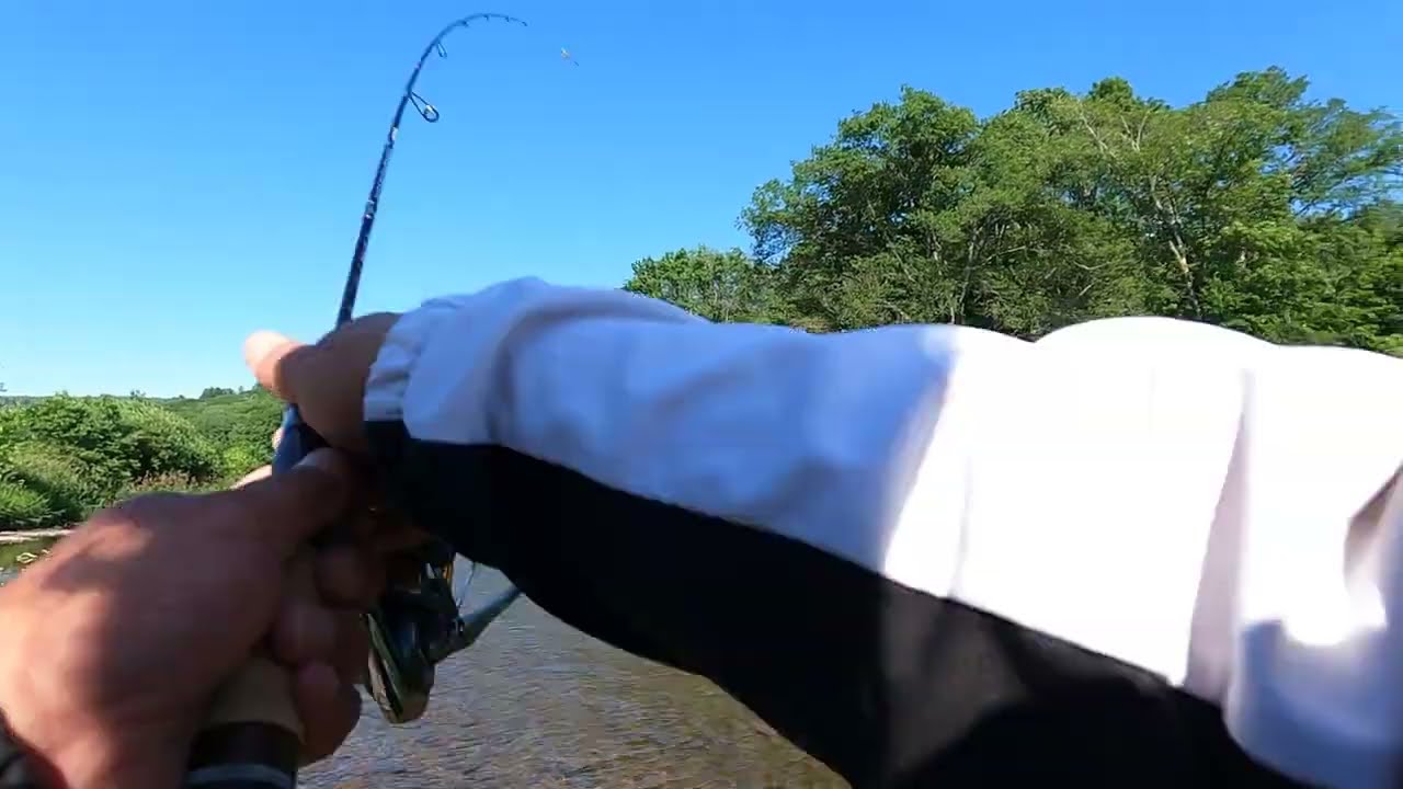 【渓流】イワナGET👍天龍　Rayz integral　RZI484S-UL入魂🎣
