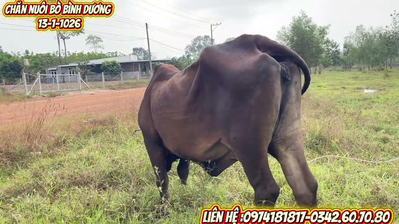 Những bộ mẹ con góc năm 1@channuoibobinhduong8373 