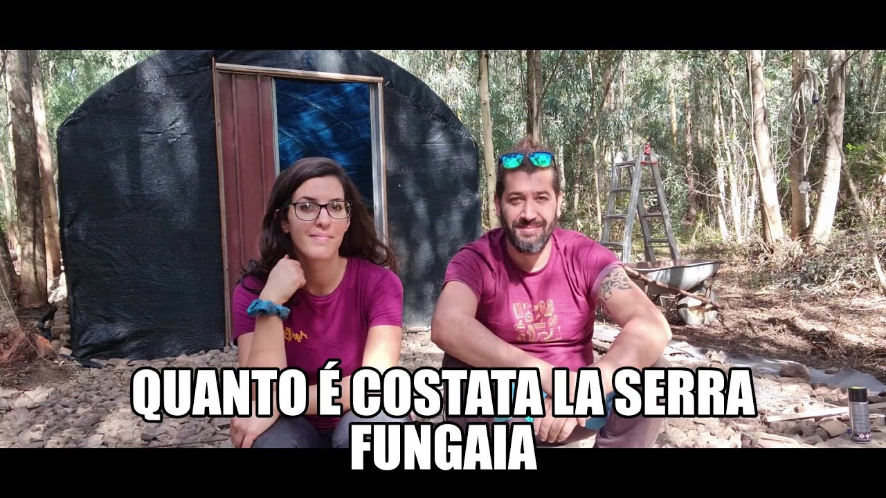 Quanto costa fare una serra fungaia?
