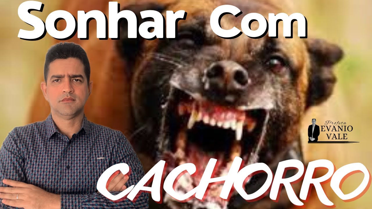 SONHAR COM CACHORRO/ Profeta Evanio Vale #sonhos #divinasrevelações #oração #viral #shots #sonharcom