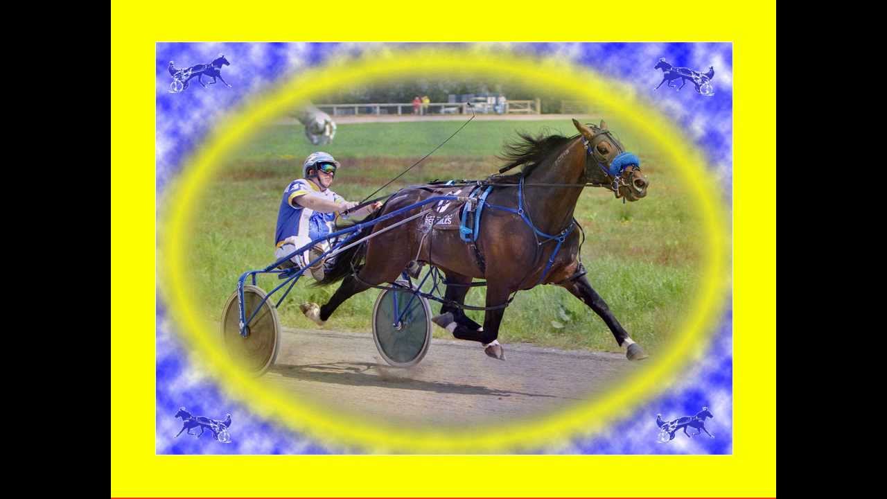 FORAFEWDOLLARSMORE