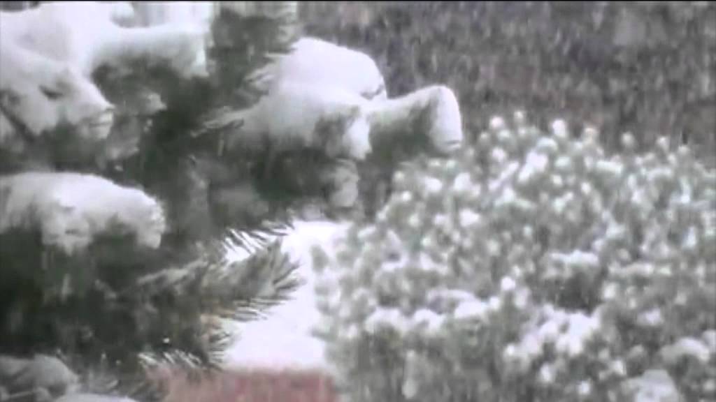 The Silicon Scientist - Snowflakes