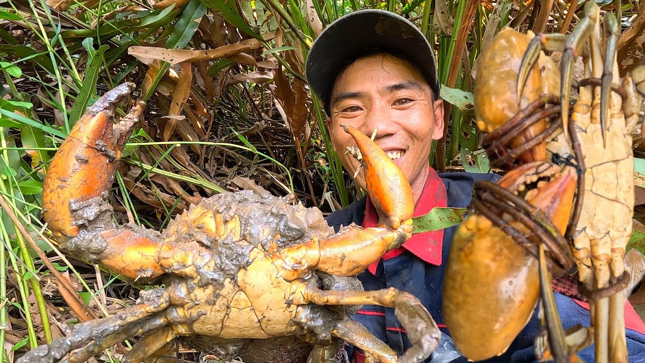Hoảng Sợ Trốn Tránh Tìm Nơi Ẩn Nấp Nghề Mưu Sinh Đi Qua Đều Phải Rung Sợ