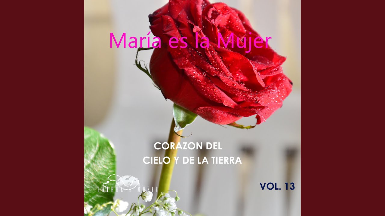 Somos Corazon Del Cielo