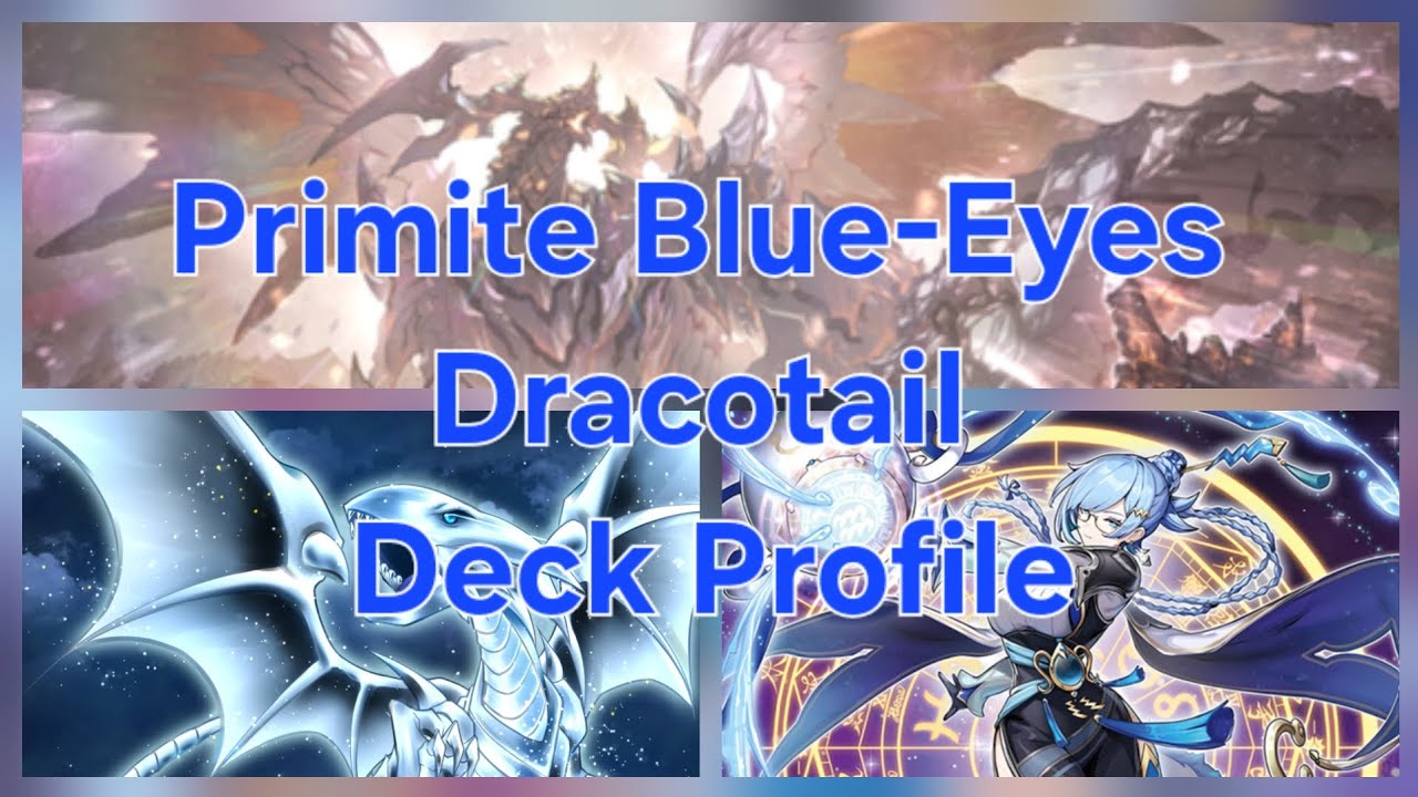 Primite Blue-Eyes Dracotail Deck Profile (undefeated locals)
