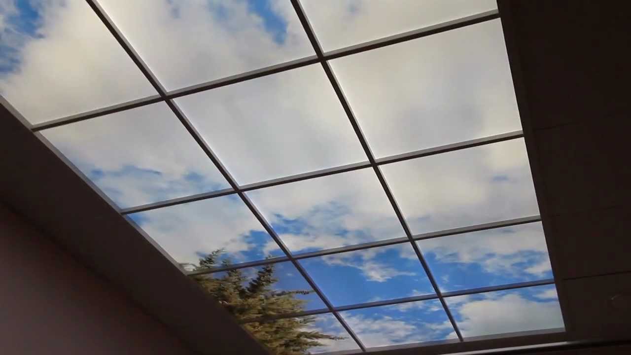 Lifeimage - Virtual windows