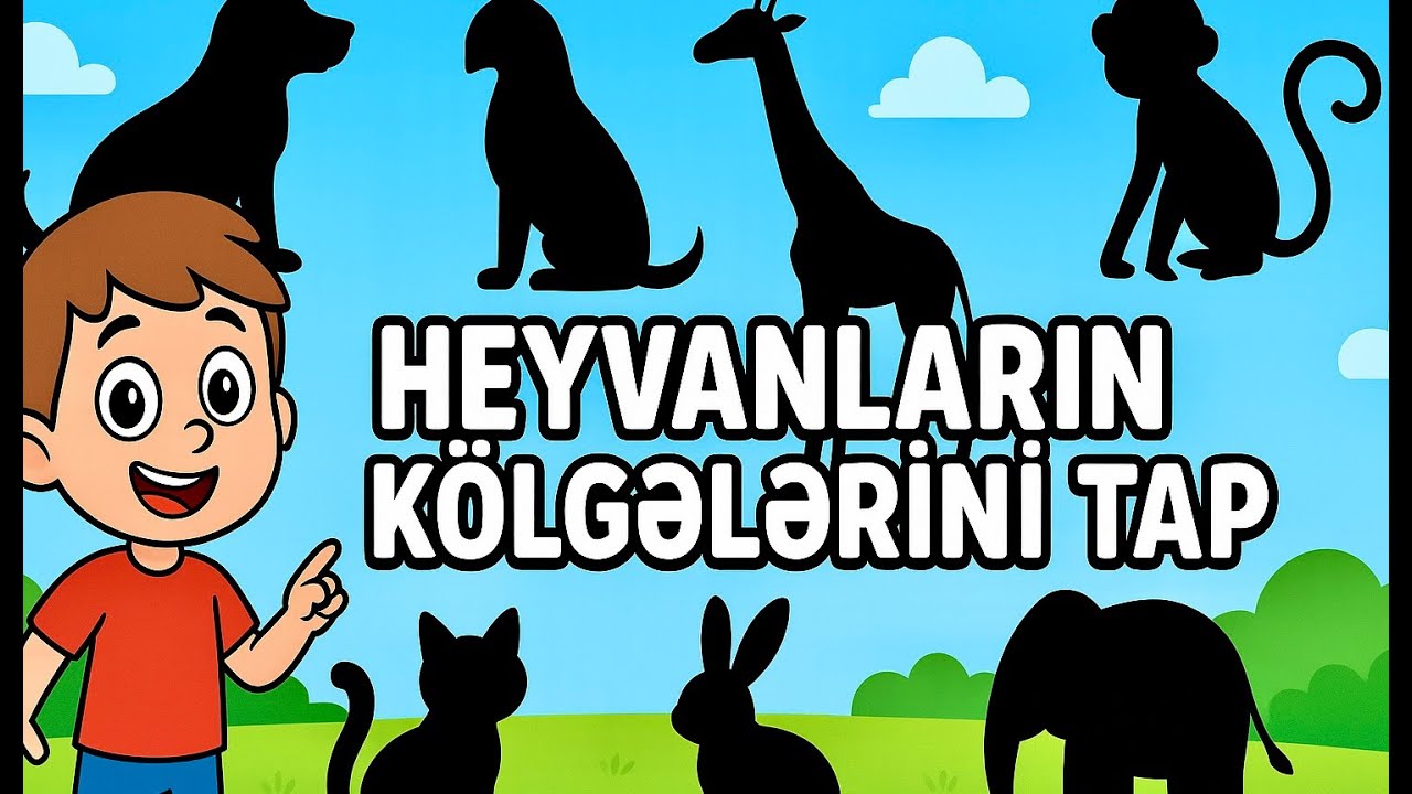 🐶KÖLGƏLƏRİ TAPAQ! Heyvanlar və kölgələri | Heyvanları öyrənmək (Azərbaycan dilində cizgi filmi) 🐱🦁