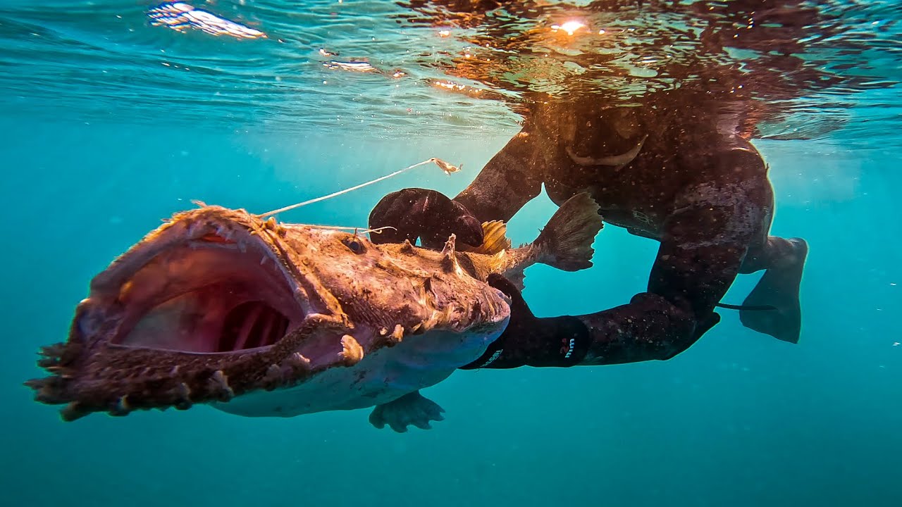 PESCA SUBMARINA 2023 // 